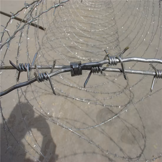 Boundaries Wall Razor Barbed Iron Wire India