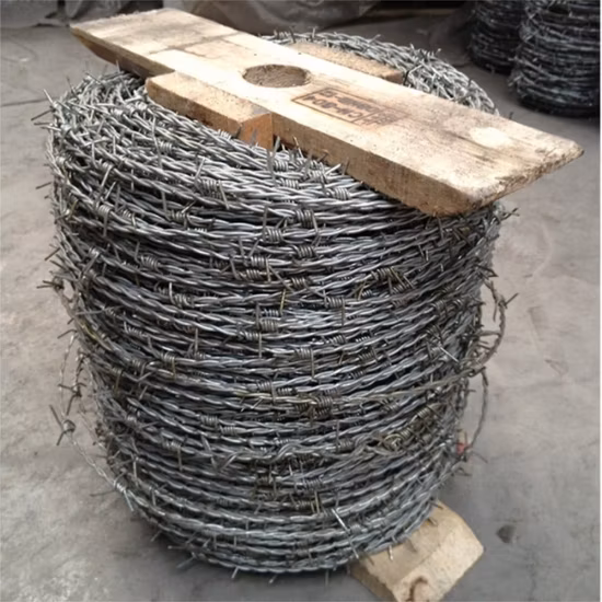 Hot Sale Galvanized or PVC Coated Barbed Wire for Fence