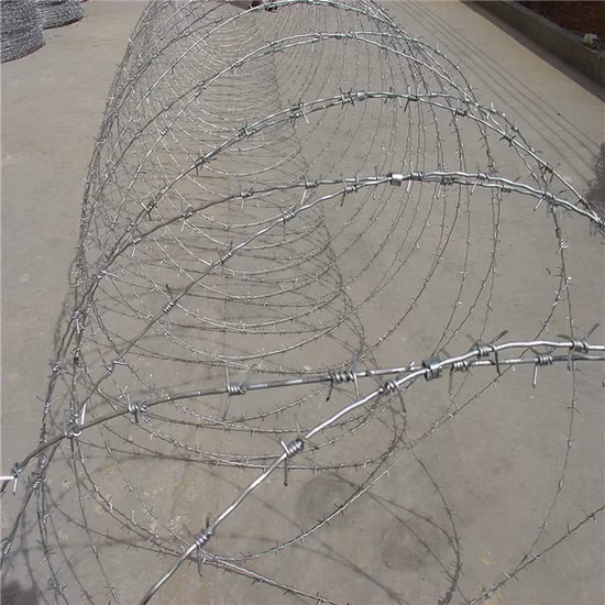 Boundaries Wall Razor Barbed Iron Wire India