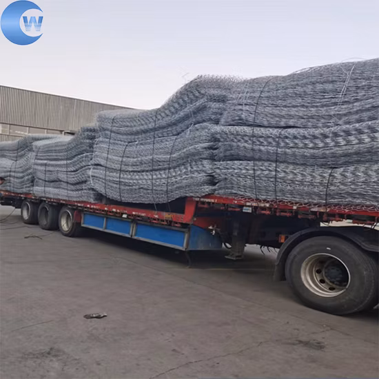 Hot Dipped Galvanized Poultry Chicken Wire Mesh with Hexagonal Wire Netting