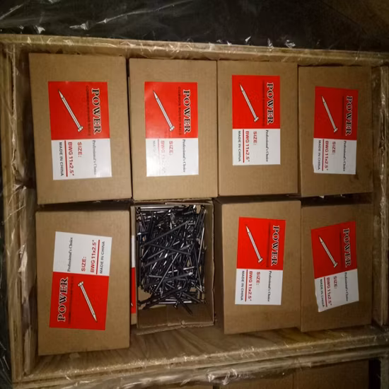 Q195 Very Good Price Polished Nail/Galvanized Common Iron Nail/ Wire Nail/Wooden Nail/Roofing Nail/Concrete Nail for Construction 1′ ′