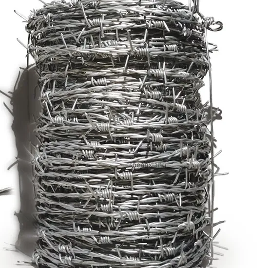 Electro Galvanized Barbed Wire for Protecting Mesh with ISO Approval