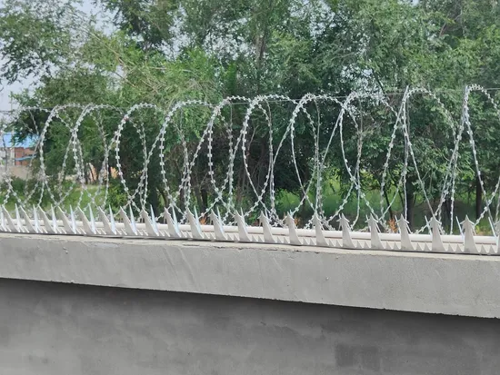 Razor Security Wall Spikes Barbed Wire for Security Fence