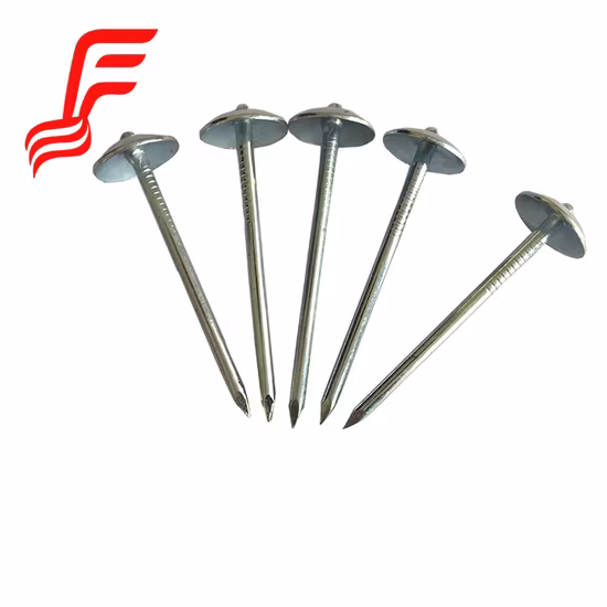 2.9mm X 75mm Screw Coil Nail 15 Deg for Nail Gun Cn80