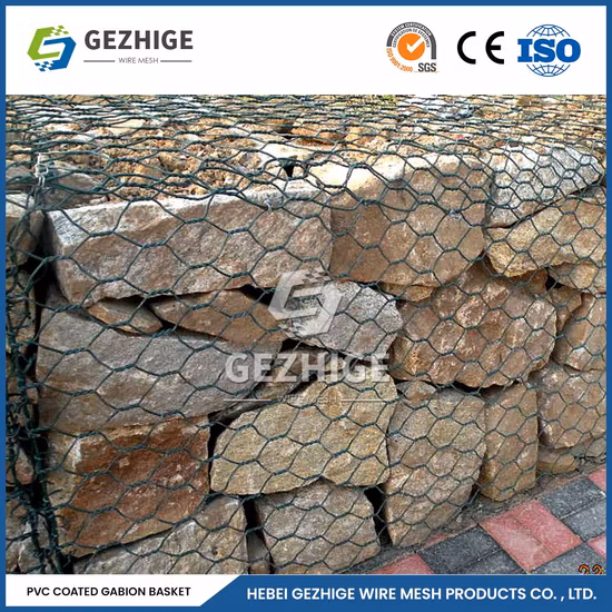 Hot DIP Galvanized or PVC Coated 60X80 Hexagonal Wire Mesh with Factory Price