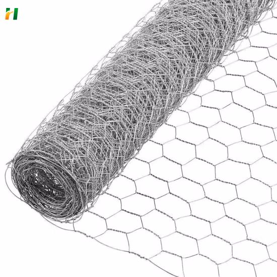 Best-Selling PVC Galvanized Chicken Wire Hexagonal Wire Mesh