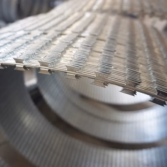 Stainless Steel Concertina Razor Barbed Wire