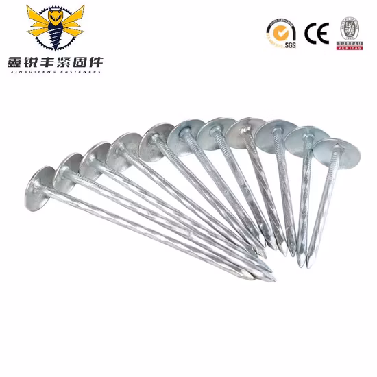 Wholesale Nail Supplies Roofing Asbestos Nail Corrugated Roofing Nail From China Factory