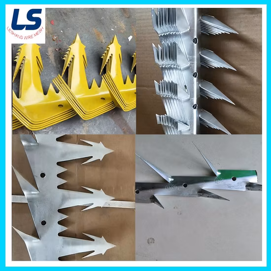 Hot-Dipped Galvanized /Powder Coated Wall Spikes /Razor Wire/Barbed Wire