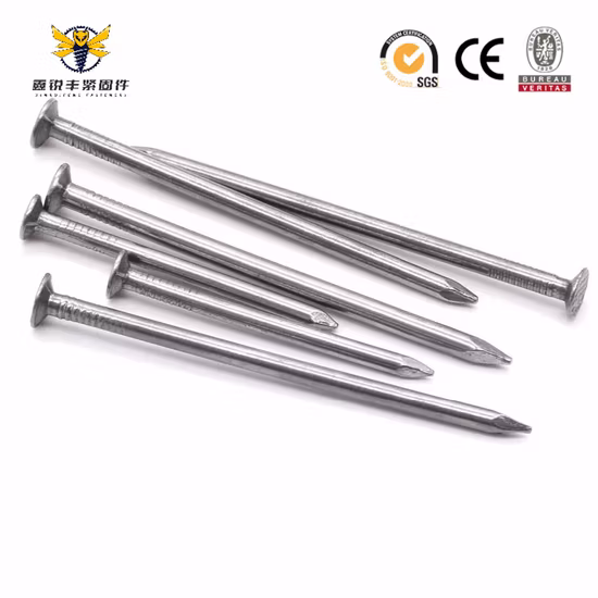 Polished Smooth Shank Round Flat Head Common Wire Nail/Bright Common Nail /Polished Iron Nails/Box Nails/Framing Nails/Construction Nails/Iron Nails/Clavo/Prego