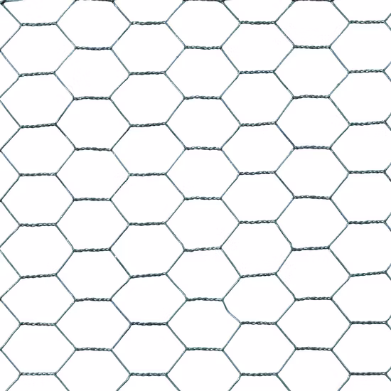 PVC Coated Galvanized Hexagonal Chicken Wire Mesh Wire Netting Gabion Mesh