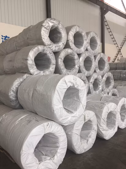 Hot/Electro DIP Galvanized Steel Wire Low Carbon Iron Wire for Mesh Chinese Manufacturer Best Price