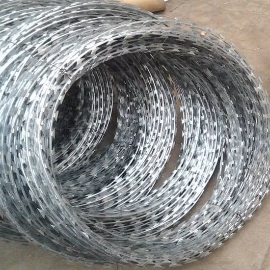 Professional Manufacturer High Tensile Galvanized/PVC Coated Single Coil Razor Barbed Wire for Security Fence