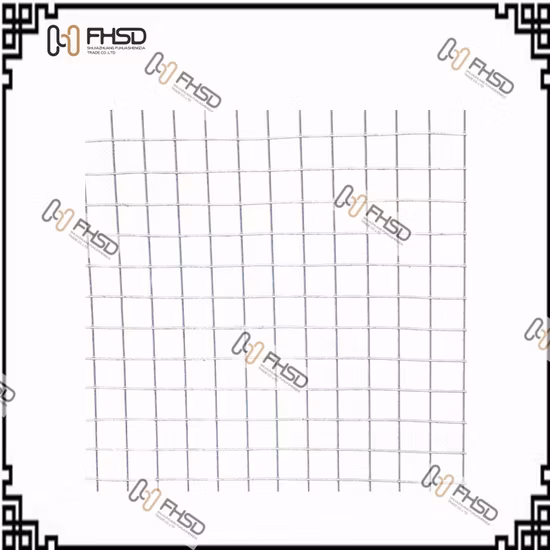 Hot-DIP Galvanized Iron Wire Square Welded Reinforce Panel/Poultry Fence / Hexagonal Netting/Razor Wire