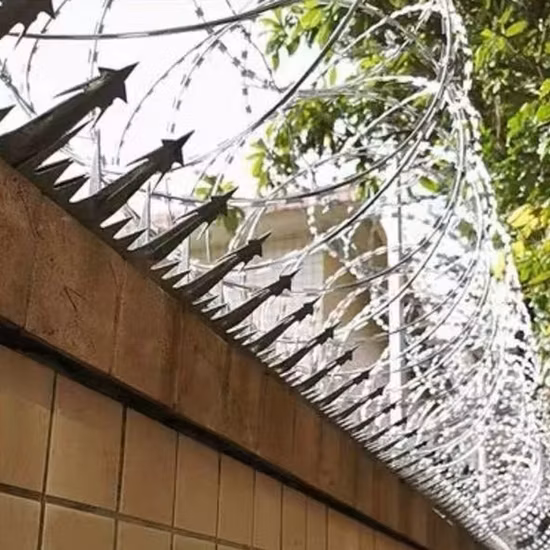 High Quality Anti Theft Anti Climb Security Wall Spike Razor Barbed Wire