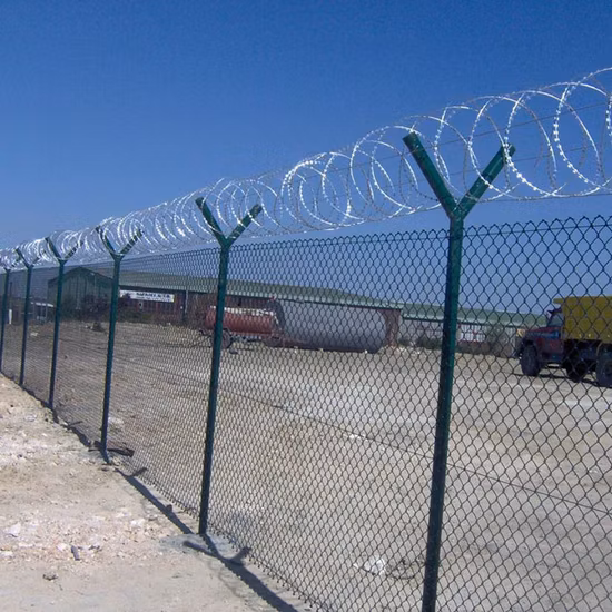 High Quality PVC Coated Wire Mesh Security Chain Link Fence for Sale